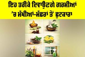 Mosquito Control Tips: ਇਹ ਤਰੀਕੇ ਦਿਵਾਉਣਗੇ ਗਰਮੀਆਂ ’ਚ ਮੱਖੀਆਂ-ਮੱਛਰਾਂ ਤੋਂ ਛੁਟਕਾਰਾ