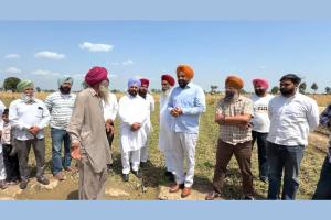 Punjab Farmers News: ਮੈਂਬਰ ਪਾਰਲੀਮੈਂਟ ਔਜਲਾ ਤੇ ਸੱਚਰ ਨੇ ਗੜੇਮਾਰੀ ਨਾਲ ਨੁਕਸਾਨਈਆਂ ਫਸਲਾਂ ਦਾ ਕੀਤਾ ਮੁਆਇਨਾ 