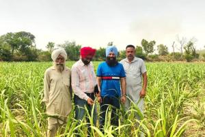 Punjab Farming News: ਮਾਹਿਰਾਂ ਦੀ ਟੀਮ ਨੇ ਵੱਖ-ਵੱਖ ਪਿੰਡਾਂ 'ਚ ਗੰਨੇ ਦੀ ਫ਼ਸਲ ਦੇ ਖੇਤਾਂ ਦਾ ਦੌਰਾ, ਰਿਪੋਰਟ 'ਚ ਸਾਹਮਣੇ ਆਈ ਇਹ ਗੱਲ