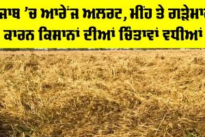 Weather Punjab: ਪੰਜਾਬ ’ਚ ਆਰੇਂਜ ਅਲਰਟ, ਮੀਂਹ ਤੇ ਗੜੇਮਾਰੀ ਕਾਰਨ ਕਿਸਾਨਾਂ ਦੀਆਂ ਚਿੰਤਾਵਾਂ ਵਧੀਆਂ