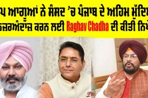 ਆਪ ਆਗੂਆਂ ਨੇ ਸੰਸਦ 'ਚ ਪੰਜਾਬ ਦੇ ਅਹਿਮ ਮੁੱਦਿਆਂ ਨੂੰ ਨਜ਼ਰਅੰਦਾਜ਼ ਕਰਨ ਲਈ Raghav Chadha ਦੀ ਕੀਤੀ ਨਿਖੇਧੀ