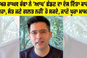 Raghav Chadha: ਆਖਰ ਰਾਘਵ ਚੱਢਾ ਨੇ ‘ਆਪ’ ਛੱਡਣ ਦਾ ਦੱਸ ਦਿੱਤਾ ਕਾਰਨ, ਕਿਹਾ, ਸੱਤ ਜਣੇ ਗਲਤ ਨਹੀਂ ਹੋ ਸਕਦੇ, ਜਾਣੋ ਪੂਰਾ ਮਾਮਲਾ