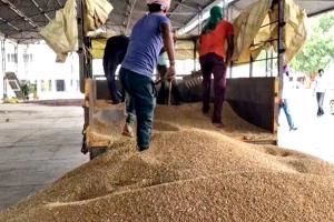 Wheat Procurement Punjab : ਖੰਨਾ ਮੰਡੀ ’ਚ ਕਣਕ ਦੀ ਆਮਦ ਸ਼ੁਰੂ, ਨਹੀਂ ਲੱਗੀ ਬੋਲੀ