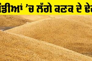 Punjab Farmers: ਮੰਡੀਆਂ ’ਚ ਲੱਗੇ ਕਣਕ ਦੇ ਢੇਰ