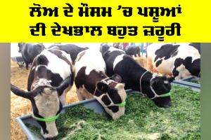 Animal Health: ਲੋਅ ਦੇ ਮੌਸਮ ’ਚ ਪਸ਼ੂਆਂ ਦੀ ਦੇਖਭਾਲ ਬਹੁਤ ਜ਼ਰੂਰੀ