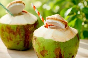 Coconut Water Benefits: ਗਰਮੀਆਂ ’ਚ ਅੰਮ੍ਰਿਤ ਵਾਂਗ ਹੈ ਨਾਰੀਅਲ ਪਾਣੀ, ਪਰ ਇਹ ਗਲਤੀਆਂ ਤੁਹਾਨੂੰ ਕਰ ਸਕਦੀਆਂ ਹਨ ਬਿਮਾਰ