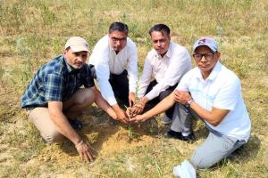 Environment Protection: ਅਸਥੀਆਂ 'ਤੇ ਫ਼ਲਦਾਰ ਪੌਦਾ ਲਗਾ ਕੇ ਪਰਿਵਾਰ ਵੱਲੋਂ ਸਮਾਜ ਨੂੰ ਦਿੱਤਾ ਨਵਾਂ ਸੁਨੇਹਾ