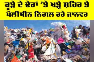 Garbage Pollution Crisis: ਕੂੜੇ ਦੇ ਢੇਰਾਂ ’ਤੇ ਖੜ੍ਹੇ ਸ਼ਹਿਰ ਤੇ ਪੋਲੀਥੀਨ ਨਿਗਲ ਰਹੇ ਜਾਨਵਰ