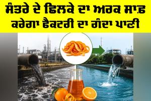 IIT BHU Research: ਸੰਤਰੇ ਦੇ ਛਿਲਕੇ ਦਾ ਅਰਕ ਸਾਫ਼ ਕਰੇਗਾ ਫੈਕਟਰੀ ਦਾ ਗੰਦਾ ਪਾਣੀ