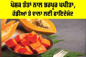 Papaya Health Benefits: ਪੋਸ਼ਕ ਤੱਤਾਂ ਨਾਲ ਭਰਪੂਰ ਪਪੀਤਾ, ਹੱਡੀਆਂ ਤੇ ਵਾਲਾਂ ਲਈ ਫਾਇਦੇਮੰਦ