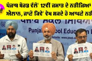 PSEB 12th Result: ਪੰਜਾਬ ਬੋਰਡ ਵੱਲੋਂ 12ਵੀਂ ਜਮਾਤ ਦੇ ਨਤੀਜਿਆਂ ਦਾ ਐਲਾਨ, ਜਾਣੋ ਕਿਵੇਂ ਵੇਖ ਸਕਦੇ ਹੋ ਆਪਣੇ ਨਤੀਜੇ