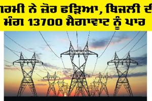 Punjab Electricity News: ਗਰਮੀ ਨੇ ਜ਼ੋਰ ਫੜਿਆ, ਬਿਜਲੀ ਦੀ ਮੰਗ 13700 ਮੈਗਾਵਾਟ ਨੂੰ ਪਾਰ