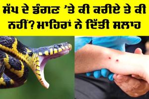 Snake Bite Treatment: ਸੱਪ ਦੇ ਡੰਗਣ ’ਤੇ ਕੀ ਕਰੀਏ ਤੇ ਕੀ ਨਹੀਂ? ਮਾਹਿਰਾਂ ਨੇ ਦਿੱਤੀ ਸਲਾਹ
