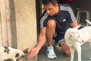 Sonu Sood Statement: ਆਵਾਰਾ ਕੁੱਤਿਆਂ ਦੇ ਹੱਕ ’ਚ ਬੋਲੇ ਸੋਨੂੰ ਸੂਦ, ਇਹਨਾਂ ਨੂੰ ਮਾਰੋ ਨਾ ਘਰ ਦਿਓ