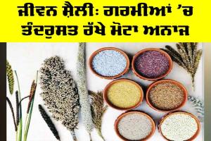 Summer Diet: ਜੀਵਨ ਸ਼ੈਲੀ, ਗਰਮੀਆਂ ’ਚ ਤੰਦਰੁਸਤ ਰੱਖੇ ਮੋਟਾ ਅਨਾਜ