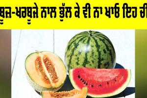 Watermelon Health Tips: ਤਰਬੂਜ਼-ਖਰਬੂਜੇ ਨਾਲ ਭੁੱਲ ਕੇ ਵੀ ਨਾ ਖਾਓ ਇਹ ਚੀਜ਼ਾਂ