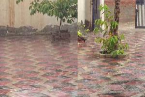 Mansa Heavy Rain: ਮਾਨਸਾ 'ਚ ਪਿਆ ਭਰਵਾਂ ਮੀਂਹ,  ਕਿਸਾਨਾਂ ਦੇ ਚਿਹਰੇ ਖਿੜੇ 