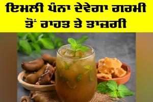 Tamarind Panna Benefits: ਇਮਲੀ ਪੰਨਾ ਦੇਵੇਗਾ ਗਰਮੀ ਤੋਂ ਰਾਹਤ ਤੇ ਤਾਜ਼ਗੀ