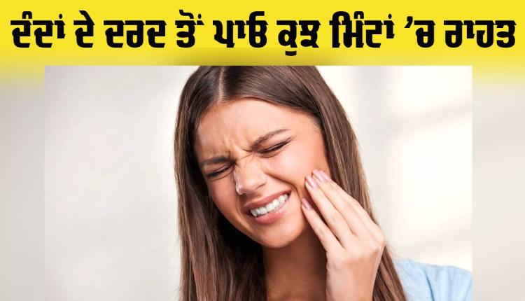 Dental Care Tips: ਲੌਂਗ ਤੋਂ ਲੈ ਕੇ ਨਮਕ ਵਾਲੇ ਪਾਣੀ ਤੱਕ, ਇਨ੍ਹਾਂ ਘਰੇਲੂ ਉਪਚਾਰਾਂ ਨਾਲ ਦੰਦਾਂ ਦੇ ਦਰਦ ਨੂੰ ਇੰਜ ਕਰੋ ਦੂਰ