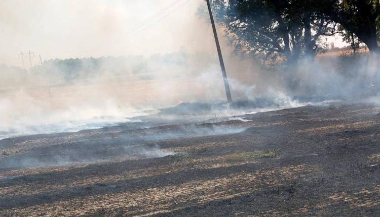 Badshahpur News: ਬਾਦਸ਼ਾਹਪੁਰ 'ਚ ਭਿਆਨਕ ਅੱਗ ਨੇ ਮਚਾਈ ਤਬਾਹੀ, 12 ਟਰਾਲੀਆਂ ਤੂੜੀ ਸੜ ਕੇ ਹੋਈ ਸੁਆਹ