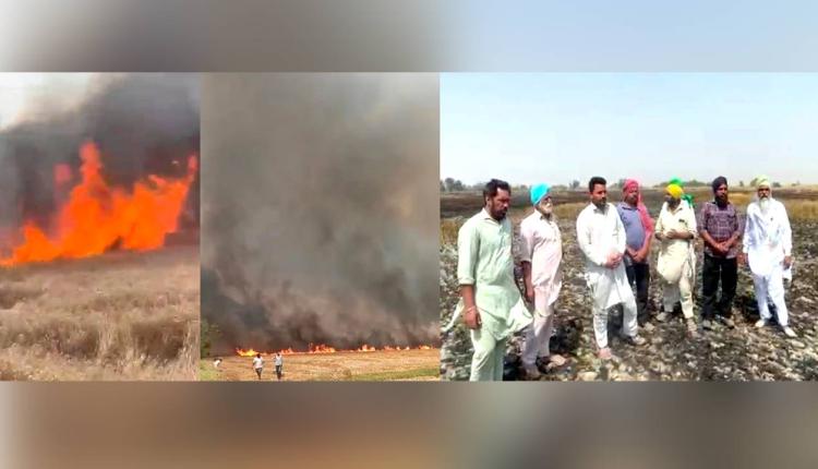 Punjab Farm Fire News: ਜੋਧਪੁਰ ਪਿੰਡ ‘ਚ ਲੱਗੀ ਅੱਗ ਨੇ ਆਲੇ-ਦੁਆਲੇ ਦੇ ਪਿੰਡਾਂ ਦੀ 400 ਏਕੜ ਕਣਕ ਸੜ ਕੇ ਸੁਆਹ 