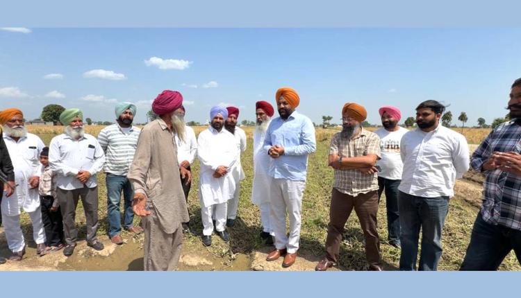 Punjab Farmers News: ਮੈਂਬਰ ਪਾਰਲੀਮੈਂਟ ਔਜਲਾ ਤੇ ਸੱਚਰ ਨੇ ਗੜੇਮਾਰੀ ਨਾਲ ਨੁਕਸਾਨਈਆਂ ਫਸਲਾਂ ਦਾ ਕੀਤਾ ਮੁਆਇਨਾ 