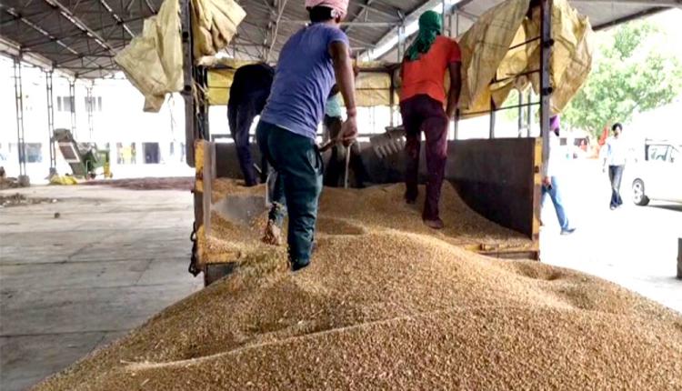Wheat Procurement Punjab : ਖੰਨਾ ਮੰਡੀ ’ਚ ਕਣਕ ਦੀ ਆਮਦ ਸ਼ੁਰੂ, ਨਹੀਂ ਲੱਗੀ ਬੋਲੀ
