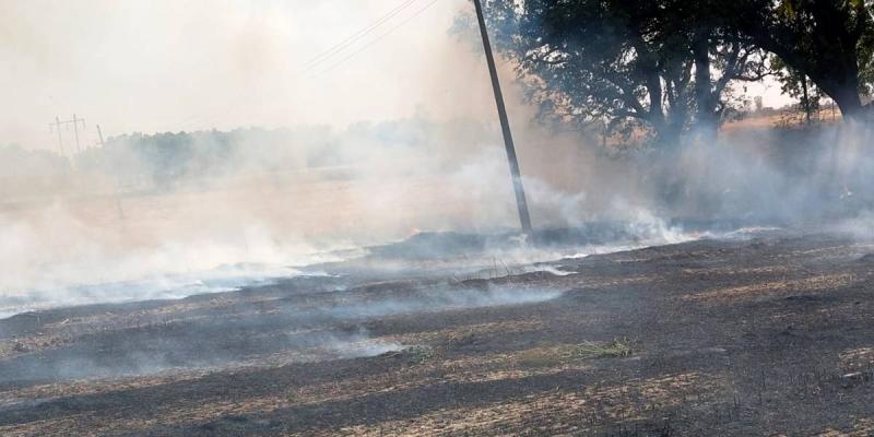 Badshahpur News: ਬਾਦਸ਼ਾਹਪੁਰ 'ਚ ਭਿਆਨਕ ਅੱਗ ਨੇ ਮਚਾਈ ਤਬਾਹੀ, 12 ਟਰਾਲੀਆਂ ਤੂੜੀ ਸੜ ਕੇ ਹੋਈ ਸੁਆਹ