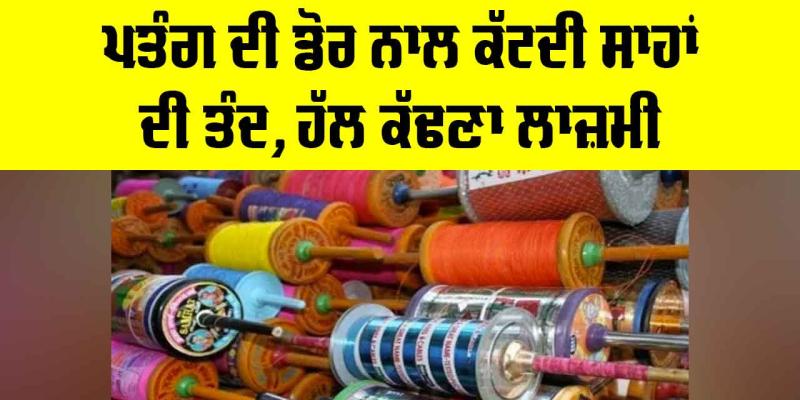 Kite String Danger: ਪਤੰਗ ਦੀ ਡੋਰ ਨਾਲ ਕੱਟਦੀ ਸਾਹਾਂ ਦੀ ਤੰਦ, ਹੱਲ ਕੱਢਣਾ ਲਾਜ਼ਮੀ