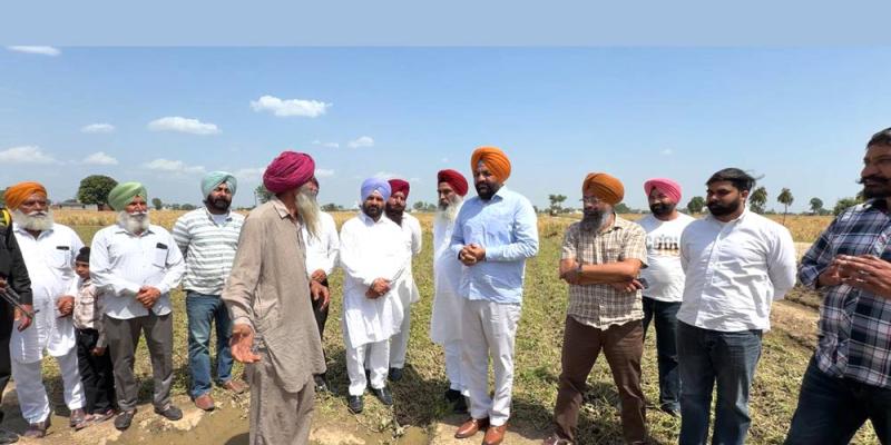 Punjab Farmers News: ਮੈਂਬਰ ਪਾਰਲੀਮੈਂਟ ਔਜਲਾ ਤੇ ਸੱਚਰ ਨੇ ਗੜੇਮਾਰੀ ਨਾਲ ਨੁਕਸਾਨਈਆਂ ਫਸਲਾਂ ਦਾ ਕੀਤਾ ਮੁਆਇਨਾ 