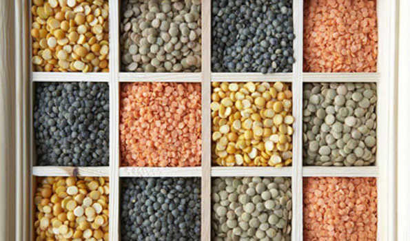 How to protect Pulses