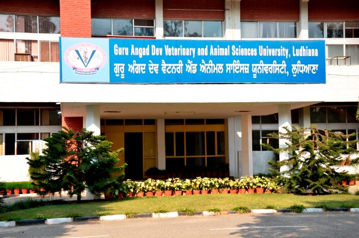Veterinary University , Ludhiana, India, Agricultural Research Council