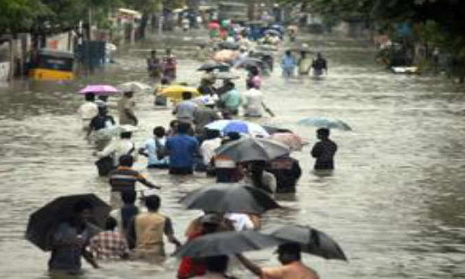 Issue, National, Problems, Kaziranga Park, Assam, Rain