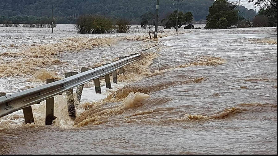 Flood, Stuck, Natural, Disaster, Kaziranga park, Monsoon, Article