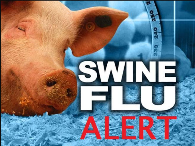 Survive, Swine Flu, Article, H1N1, WHO, Health