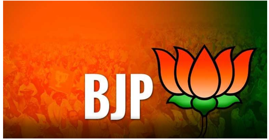 BJP, Successful, Government, Gujarat Assembly Elections