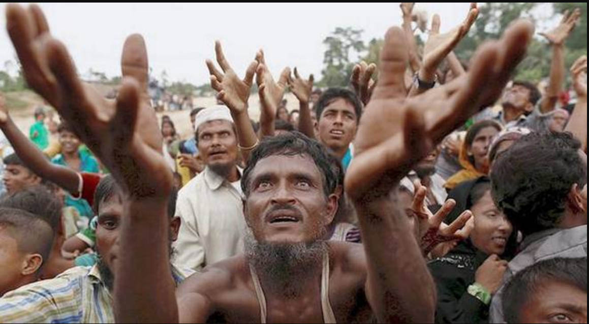 Rohingya, Honored, Homecoming,  USA 