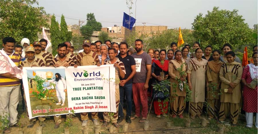 Sadh Sangat planted plants in different places