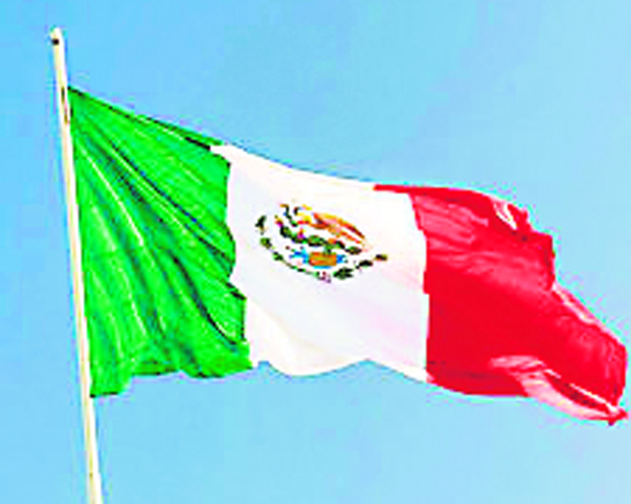 Mexican, Presidential, Election, Obrador, Meets, Majority