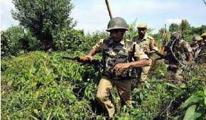 Search, Operation, Security, Forces, Kupwara, Forests, Continues