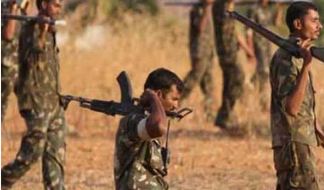 Chhattisgarh, Security, Forces, Competition, 14 Naxal, Piles