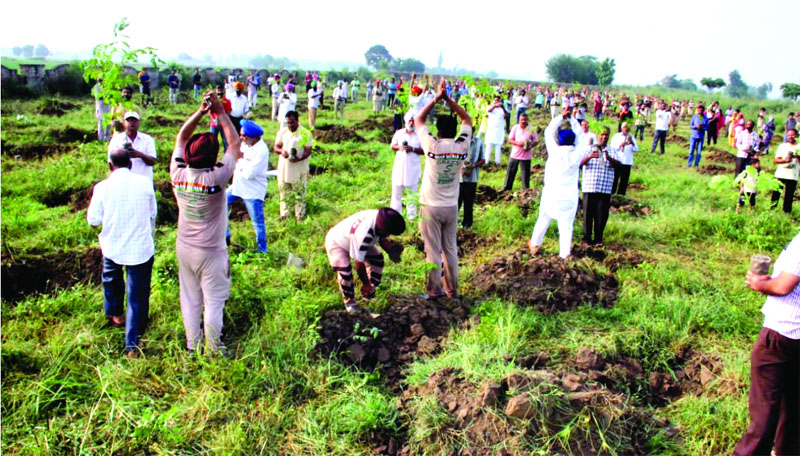 Sadh Sangat, Celebrated, Avtar Day, About, 25 Lakh, Saplings, Planted
