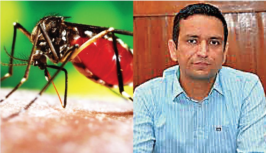 Figures, Dengue, Victims, Sangrur, Reached, Near 250