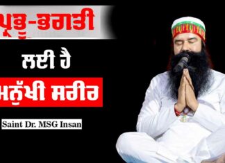 Saint Dr MSG