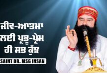 Saint Dr. MSG