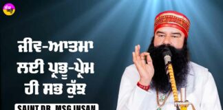 Saint Dr. MSG