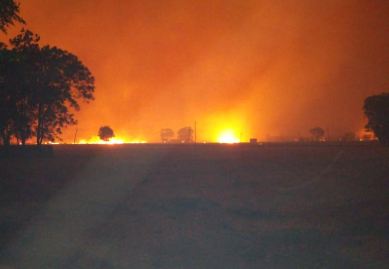 Fire, Field gave , Village, Niwiwala 