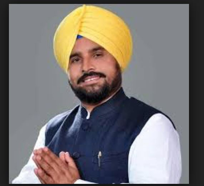 Candidate, Shergill, Election, High Court