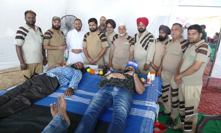 World Blood Donor Day, Organized, Dera sacha sauda