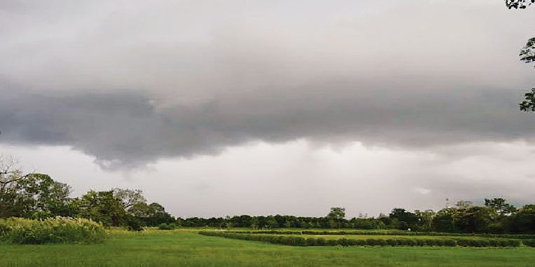 Heavy, Rain, Alert, Haryana, Punjab
